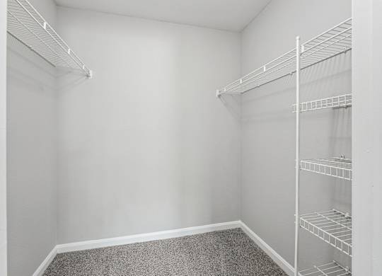 Empty white closet with shelves and carpeted floor.